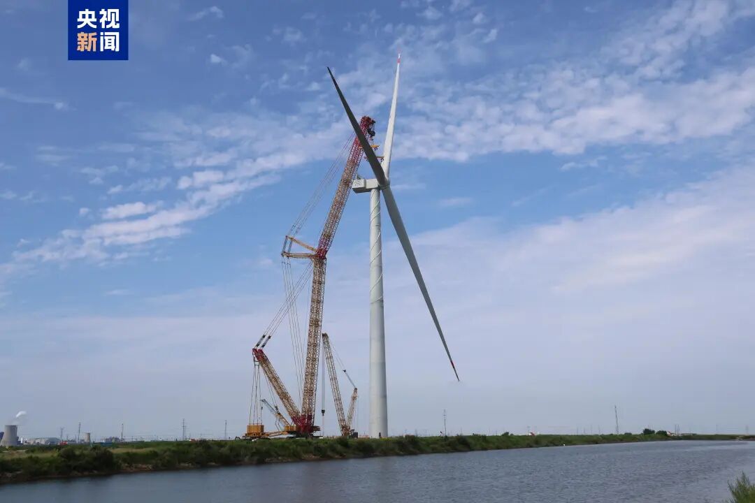 1757920426306316.jpg 1.jpg